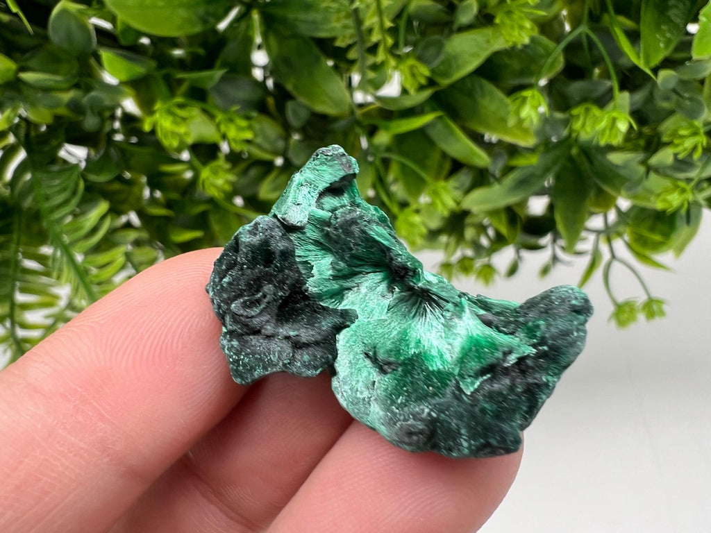 Malachite Crystal from Congo,Minerals,Crystals from Congo,Green Malachite, Malachite,Natural Malachite,Malachite Stone,Chakra, Specimens