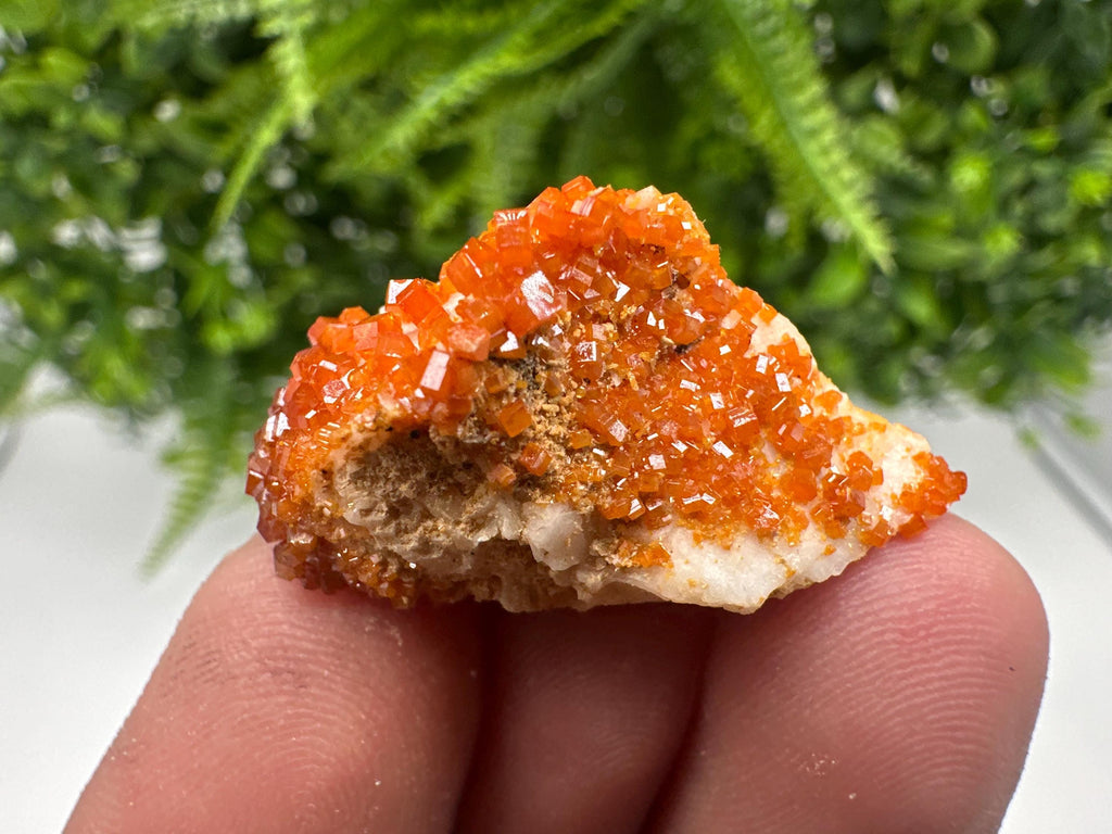 Red Vanadinite on Barite from Marocco,crystal minerals Speciment cluster Vanadinite crystal Vanadinite Geology Vanadinite cluster minerals