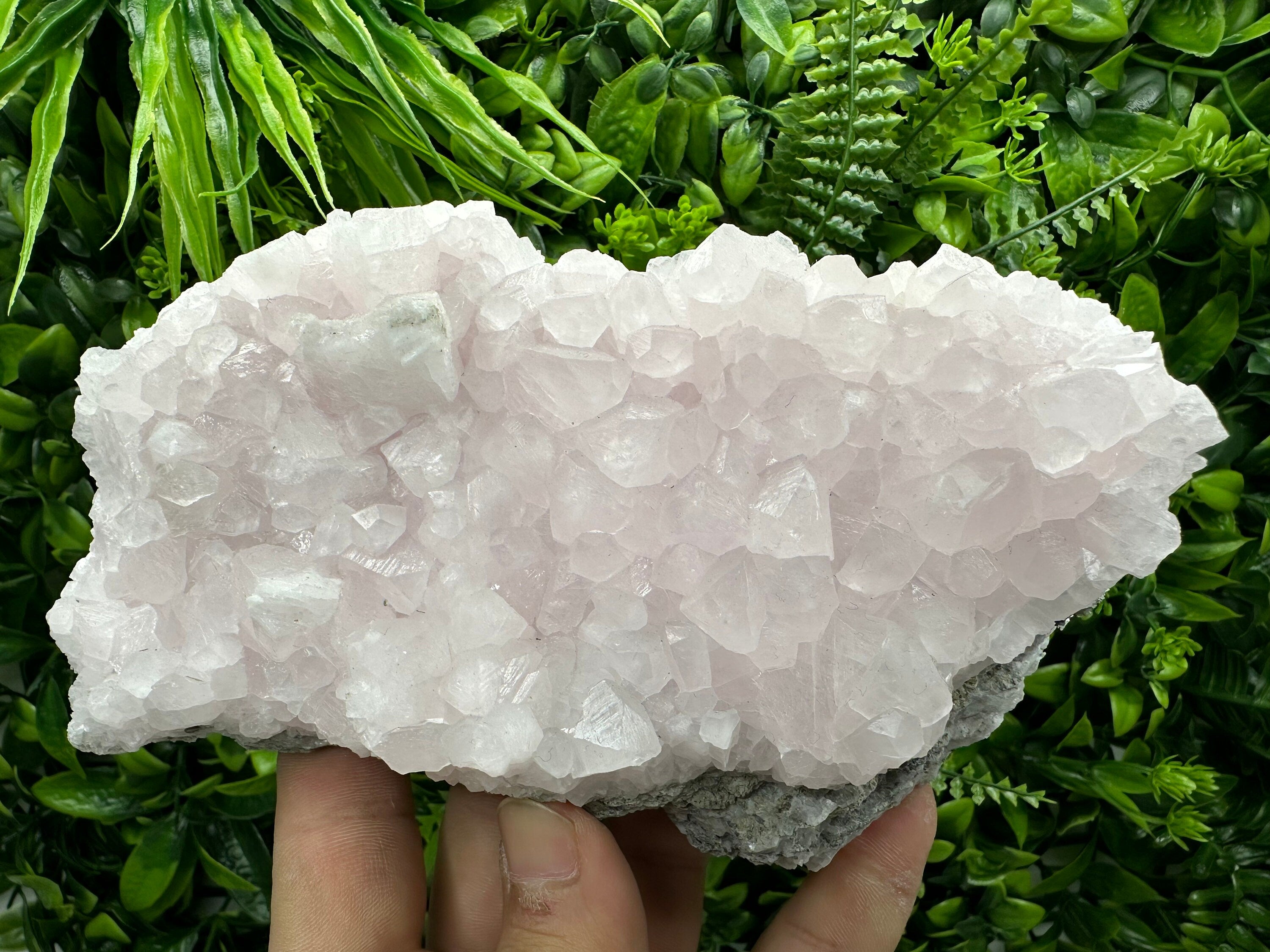 UV Reactive Mangano Calcite Crystal: Androvo Mine, Bulgaria
