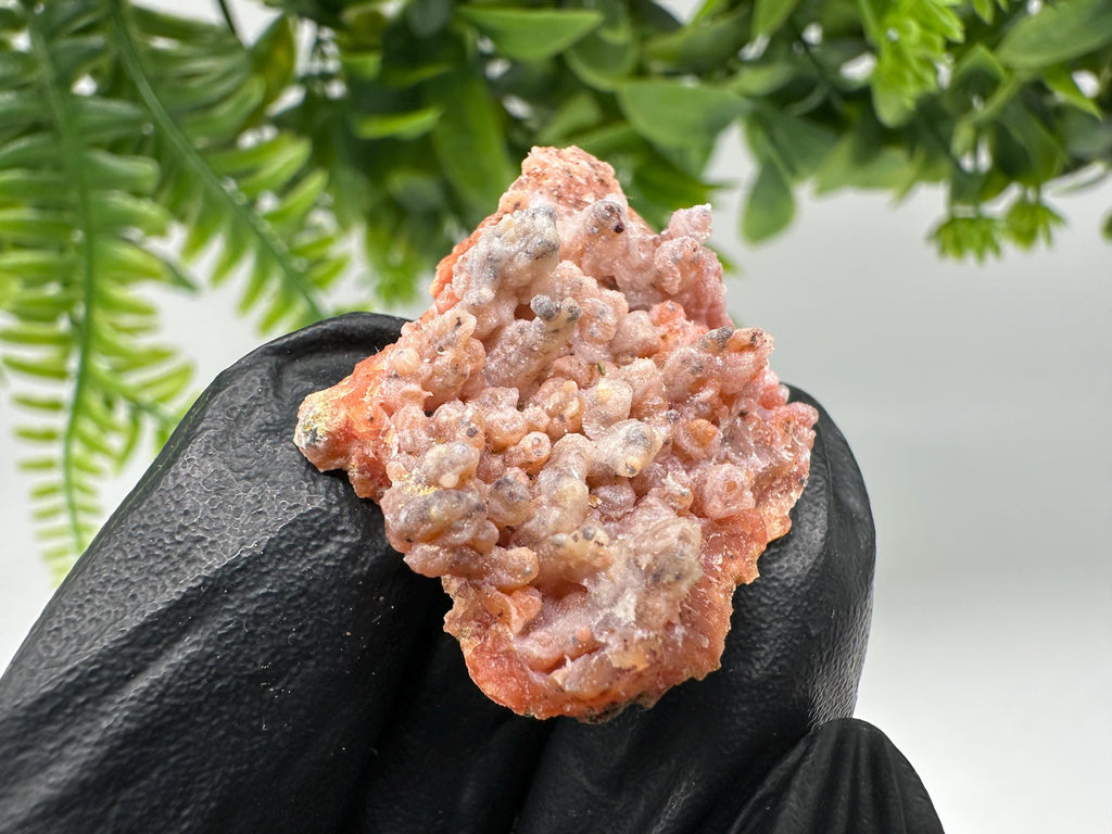 Stunning Red Chalcedony from Morocco,Morocco Minerals,Crystals,rare red Chalcedony,Red Crystal,Mineral Specimen,red minerals,souvenir gift
