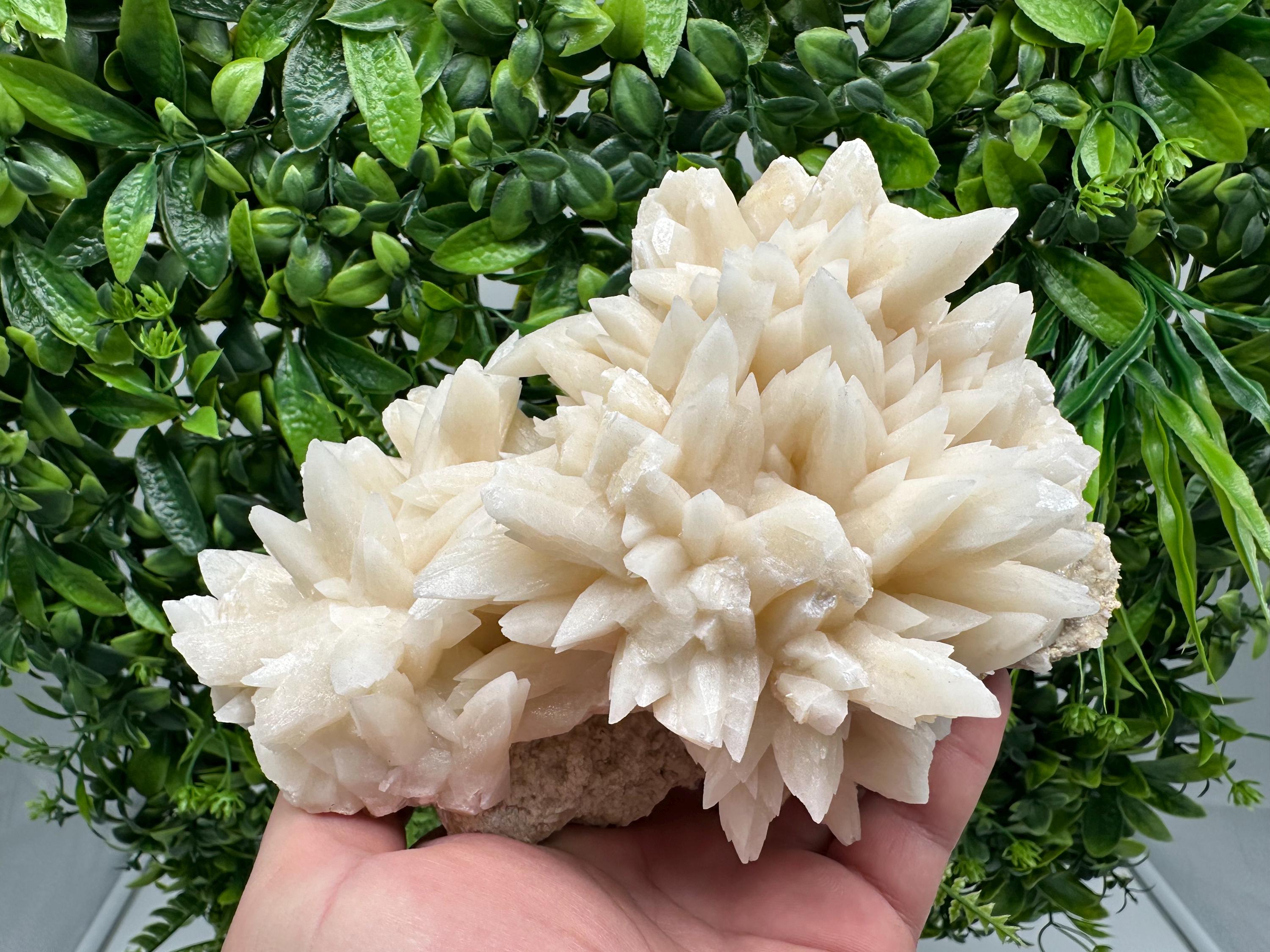 Calcite on Aragonite Crystal Cluster - Djurcovo Mine, Bulgaria
