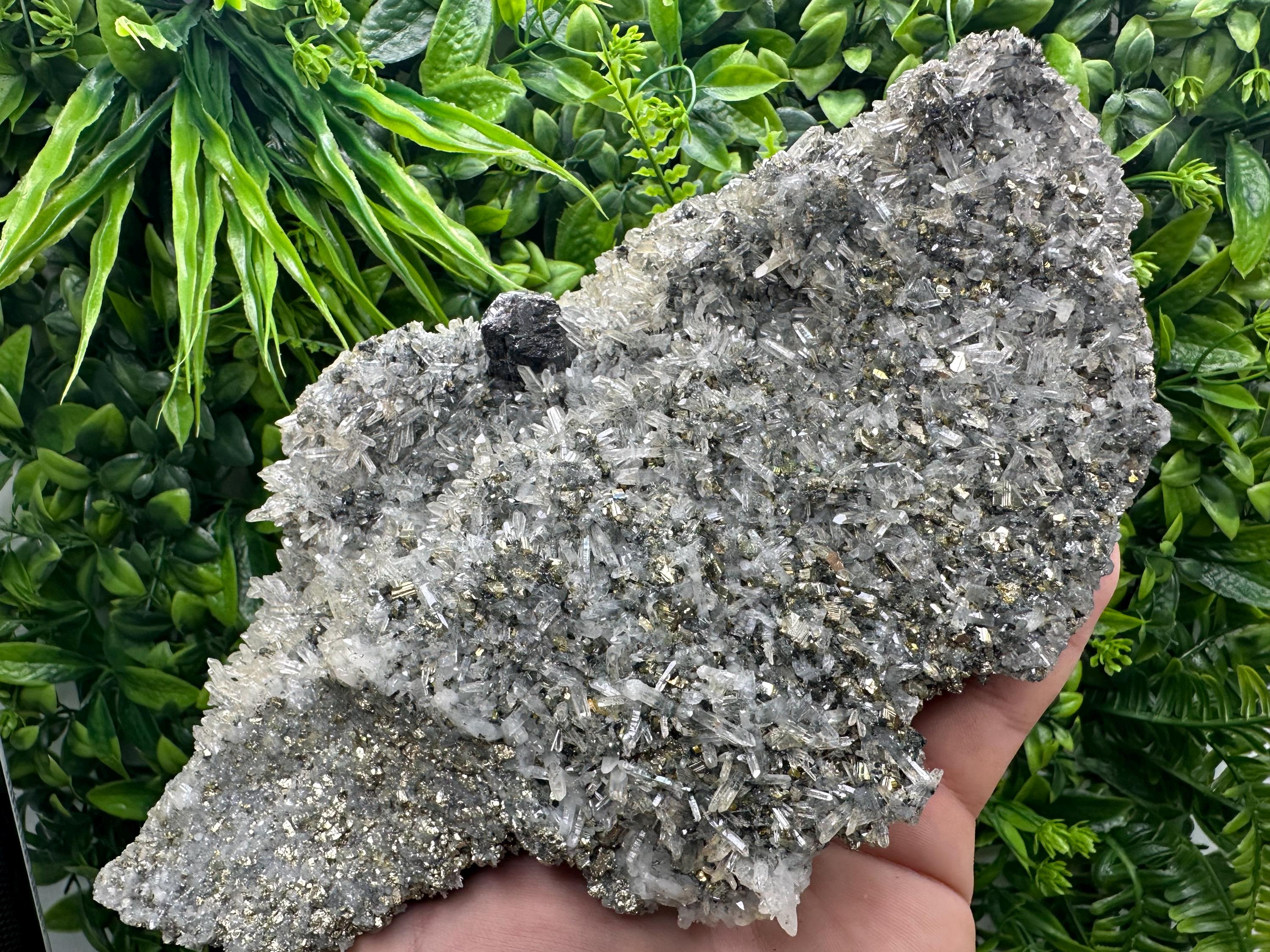 Sphalerite on Quartz with Pyrite, Borieva Mine Mineral Specimen