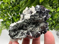 Mirror Galena, Sphalerite, Calcite Mineral Specimen: Borieva Mine, Bulgaria