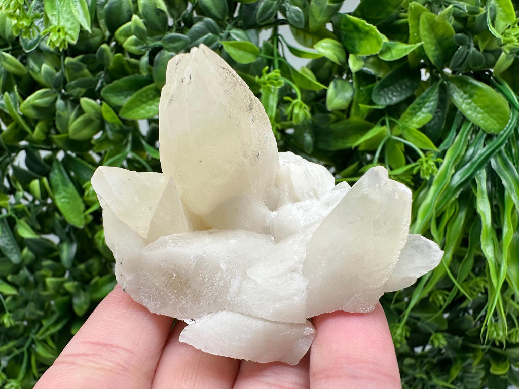 Calcite on Green Quartz: Laki Bulgaria Healing Crystal