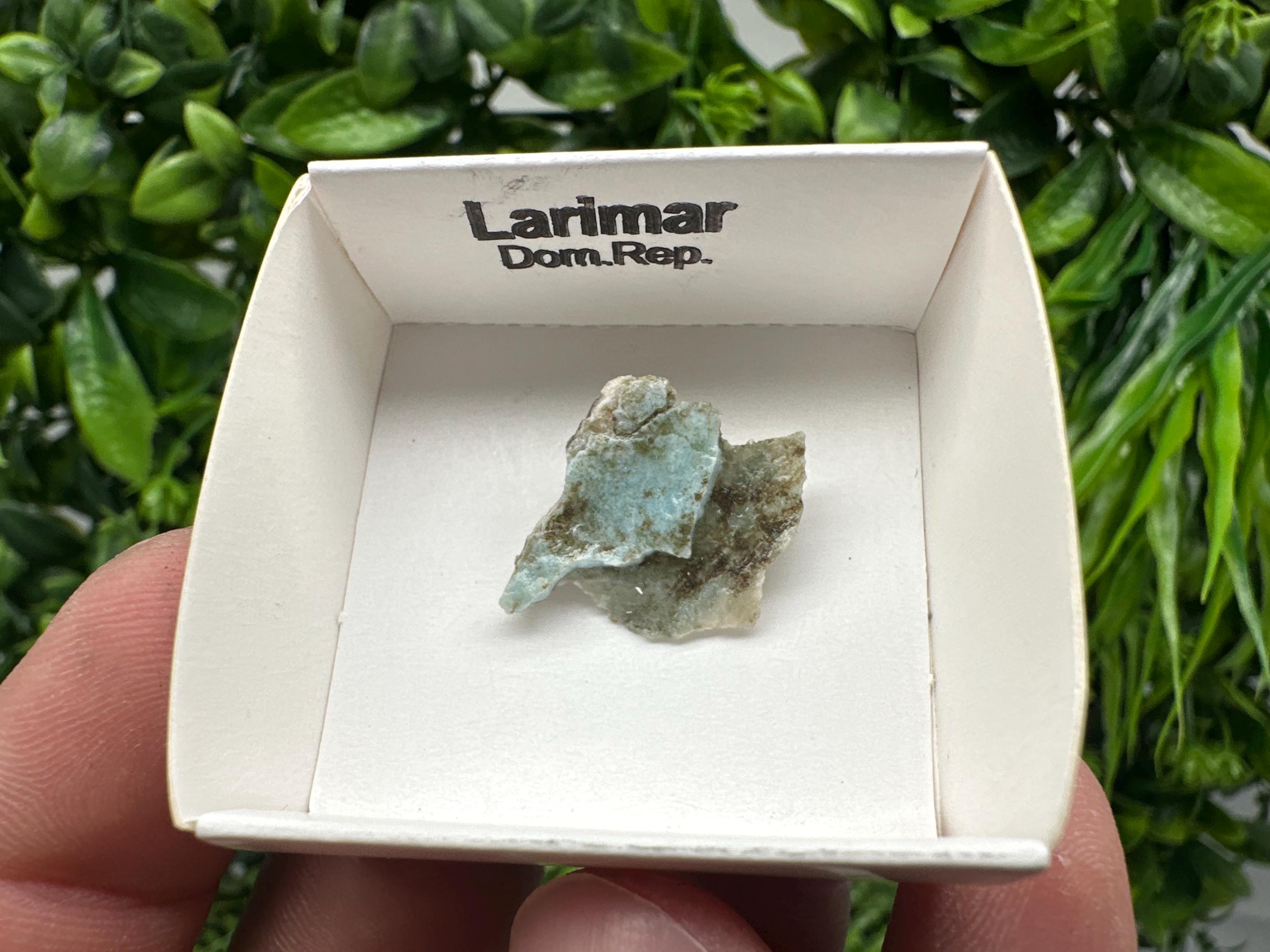 Rare Raw Larimar Specimen: Dom. Rep. Mineral Collection (20mm)
