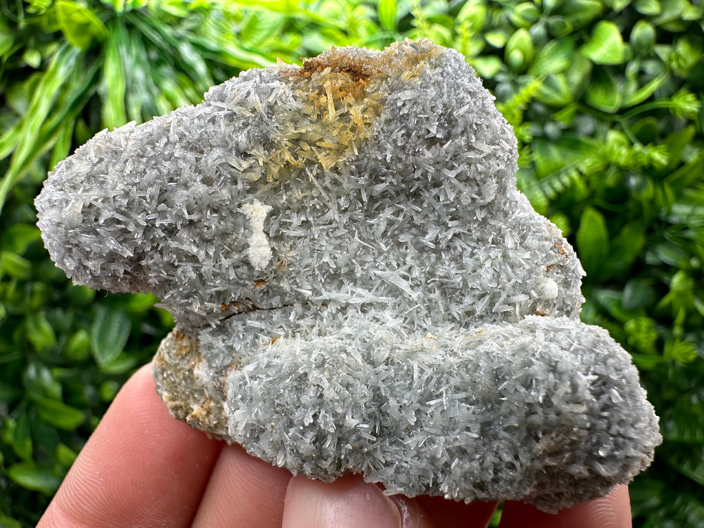 Chlorite Quartz Crystal with Iron Oxide Inclusion