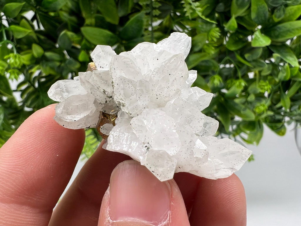 Transparent Quartz whit Rainbow Pyrite Djurcovo Laki Bulgaria natural minerals souvenir crystal stone gift minerals collection rock