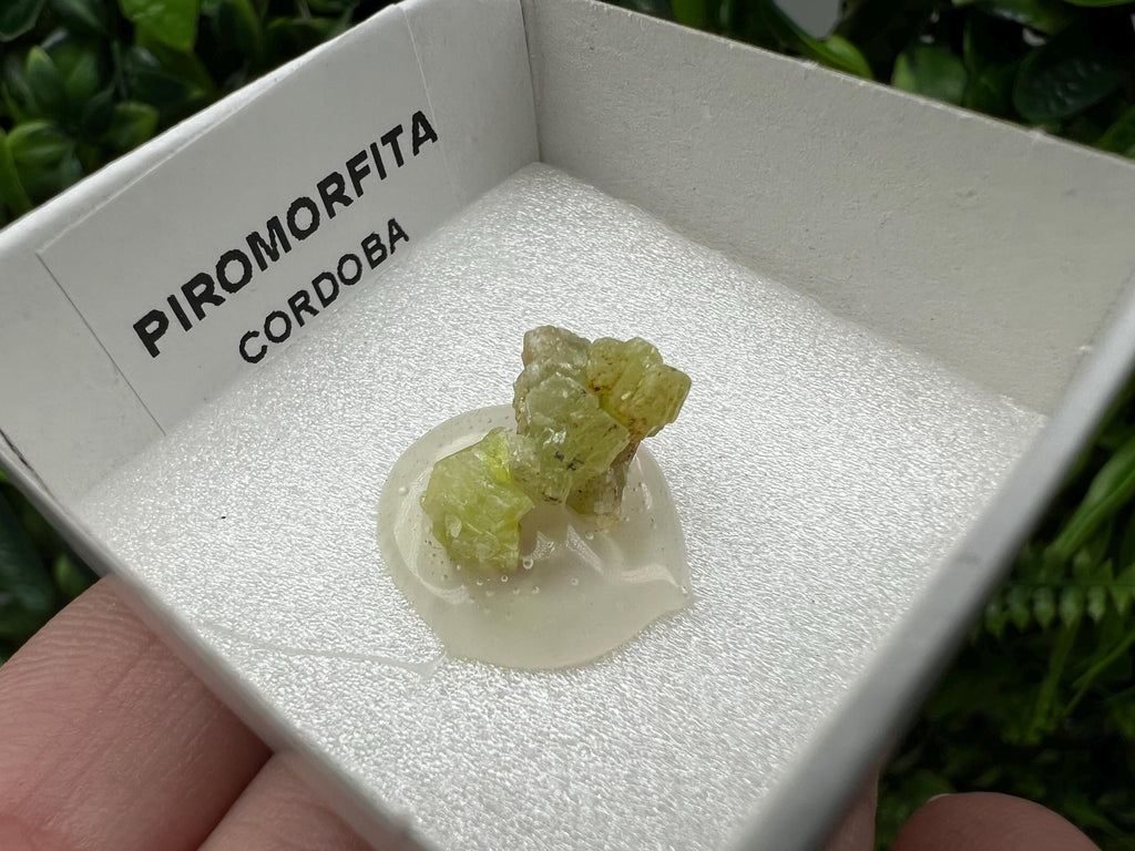 Pyromorphite Stone / Pyromorphite on Matrix / Pyromorphite Crystal / Raw Crystal / Pyromorphite Cluster / Rough Pyromorphite / Pyromorphite