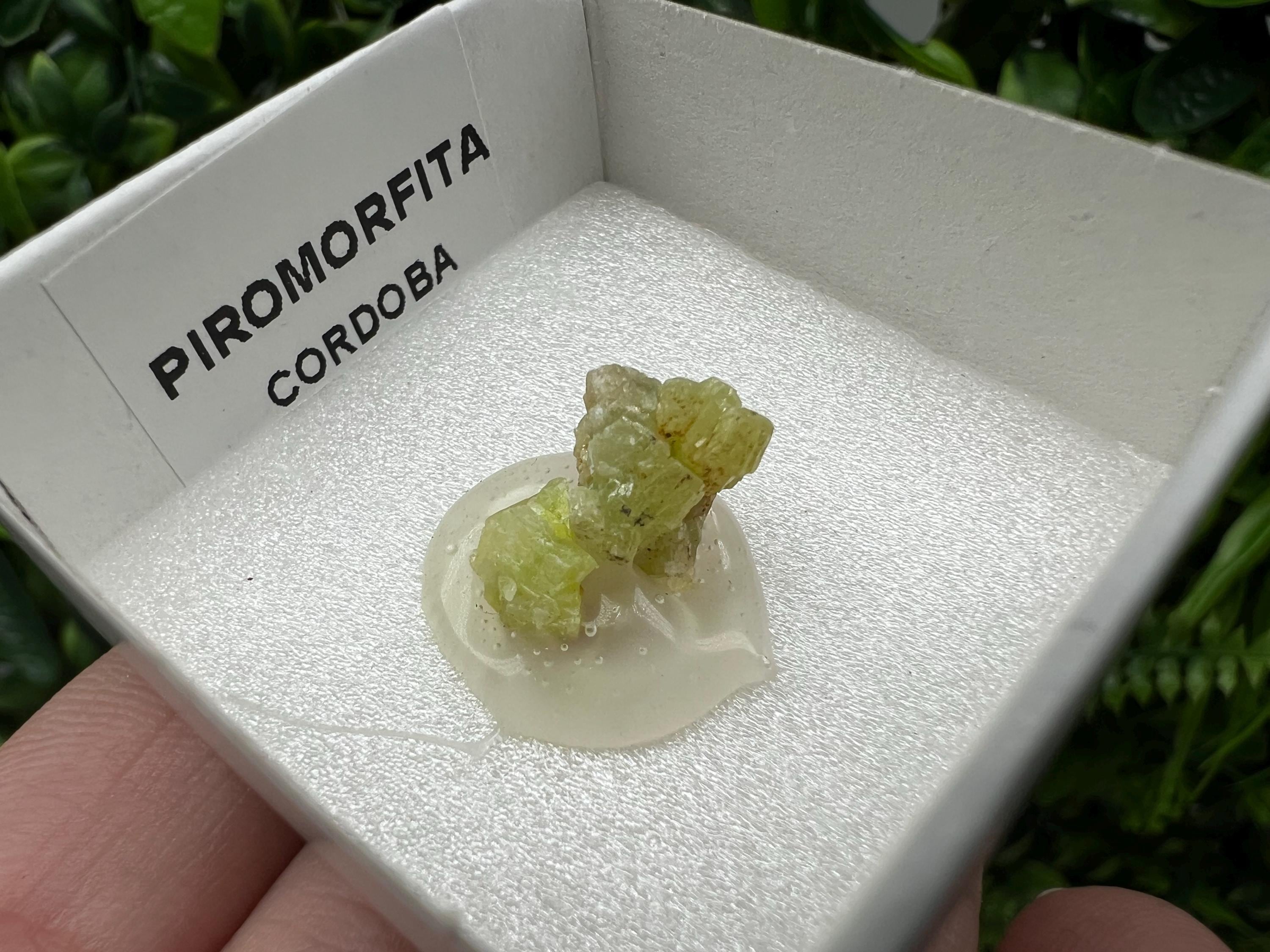 Pyromorphite Stone / Pyromorphite on Matrix / Pyromorphite Crystal / Raw Crystal / Pyromorphite Cluster / Rough Pyromorphite / Pyromorphite