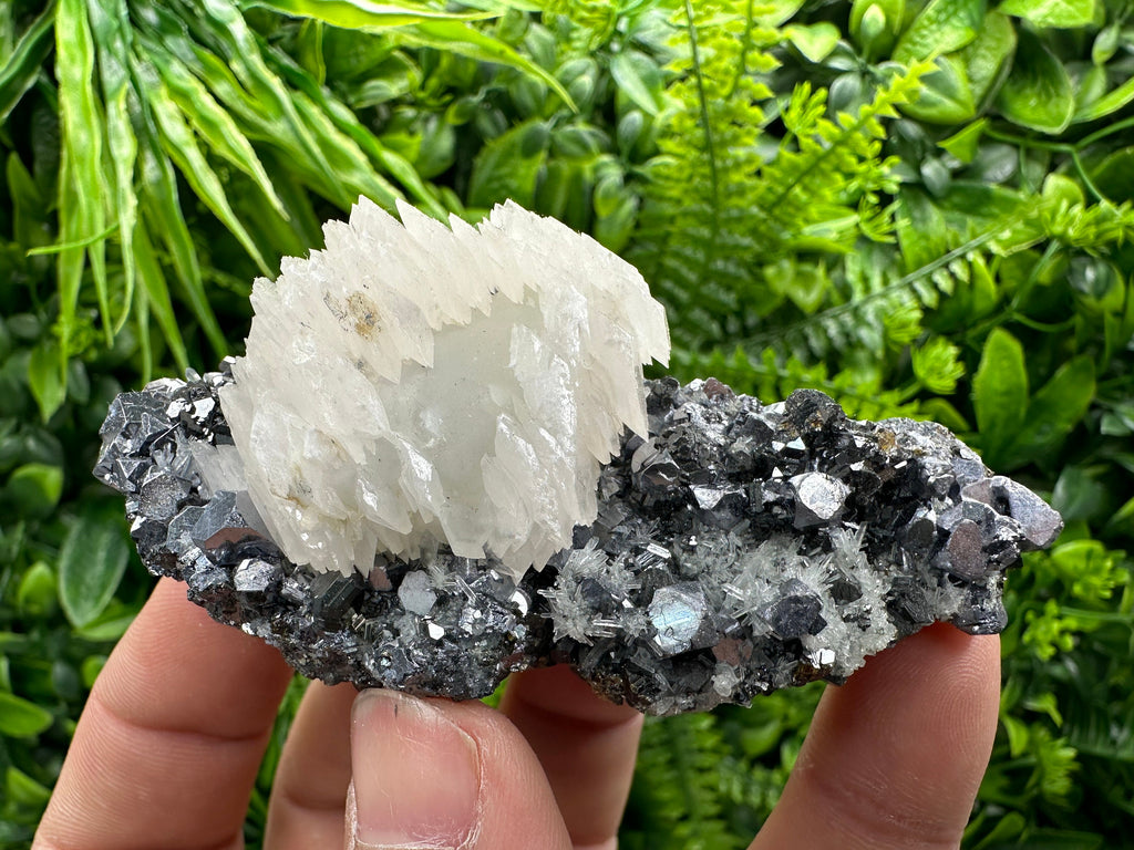 Calcite on Galena, Sphalerite & Quartz, Borieva Mine Mineral Specimen
