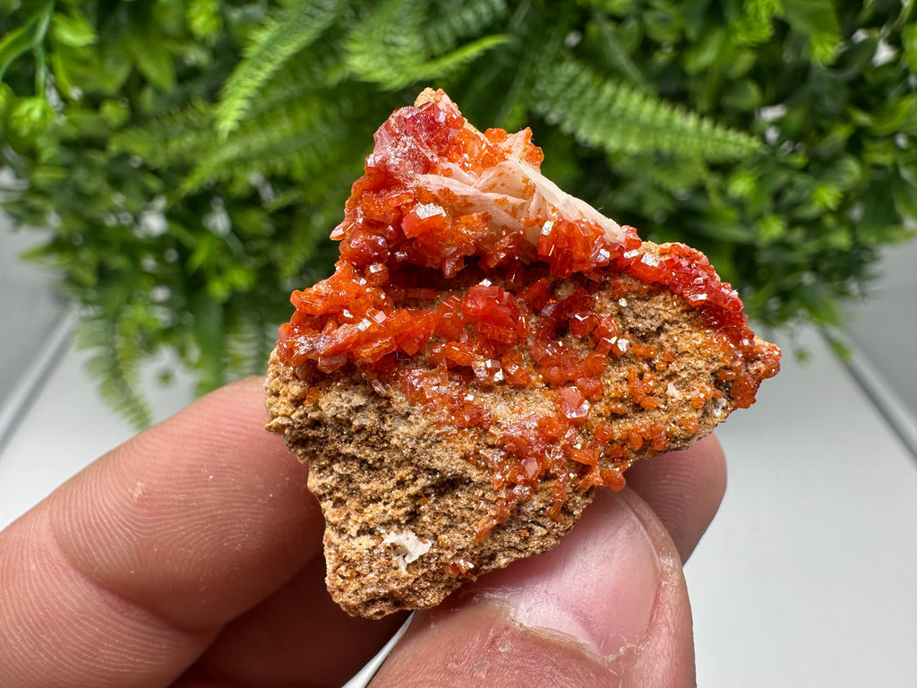 Red Vanadinite on Barite from Marocco,crystal minerals Speciment cluster Vanadinite crystal Vanadinite Geology Vanadinite cluster minerals