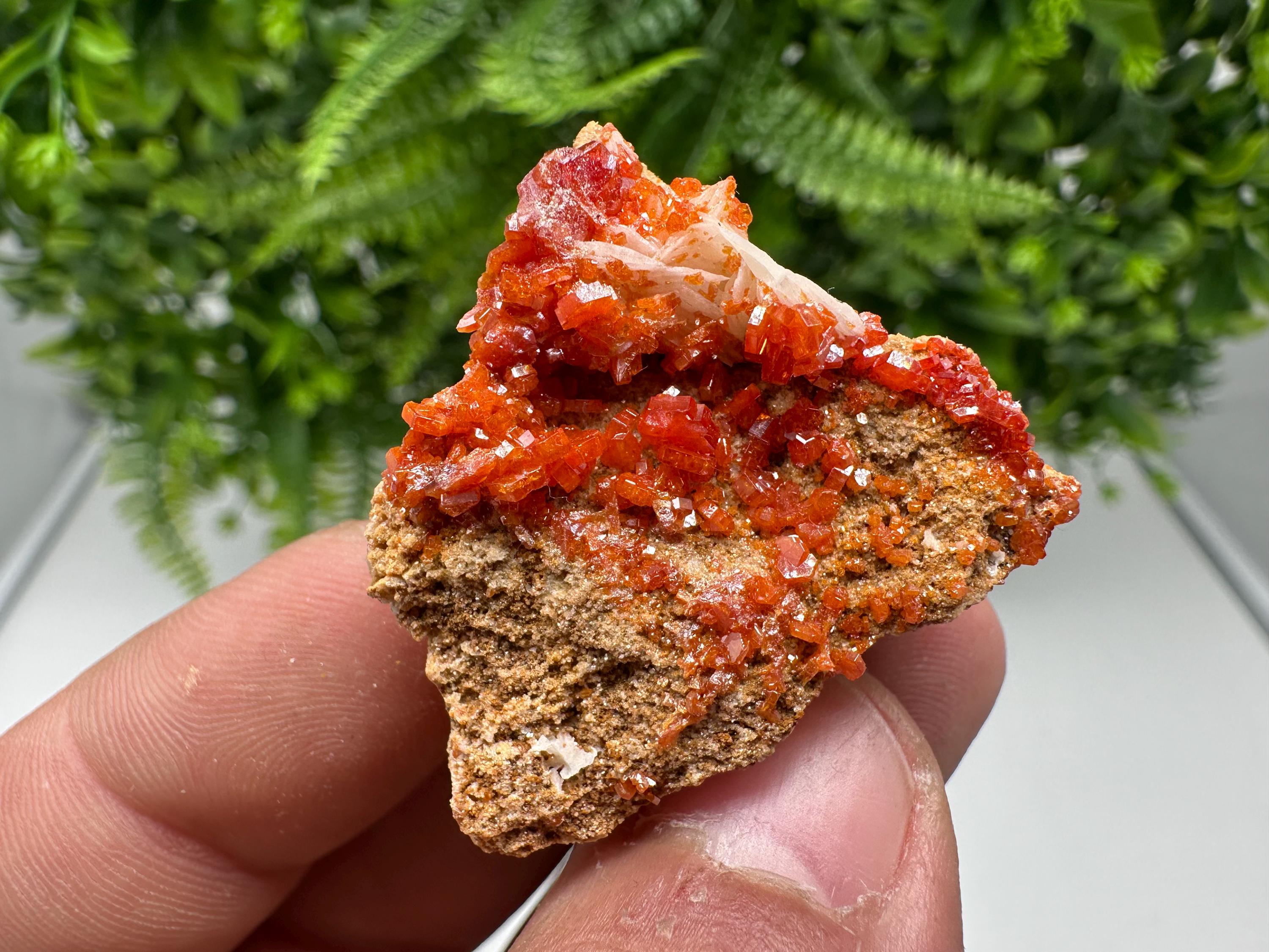 Red Vanadinite on Barite from Marocco,crystal minerals Speciment cluster Vanadinite crystal Vanadinite Geology Vanadinite cluster minerals