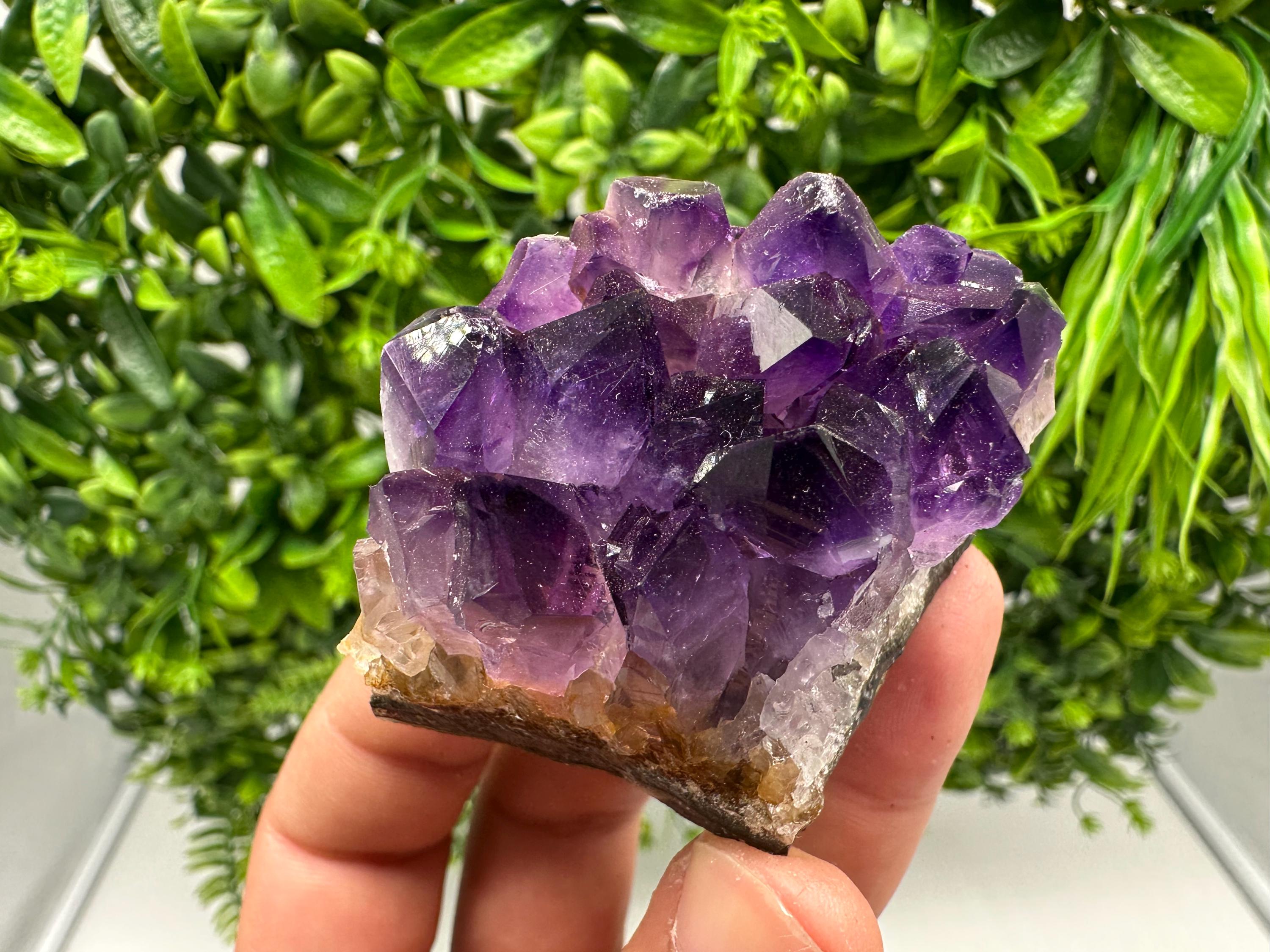 Natural Purple Amethyst Crystal Cluster from Uruguay