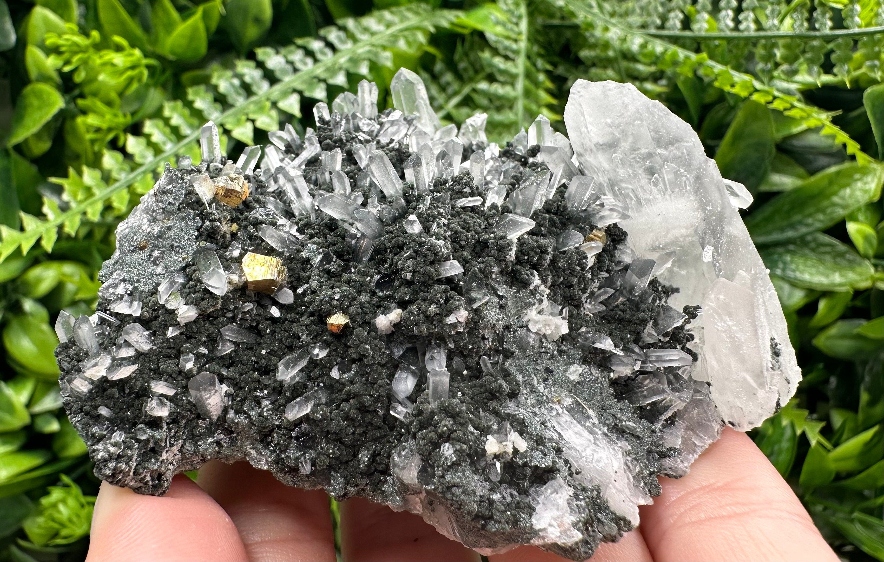 Quartz Calcite Chlorite Crystal: Borieva Mine, Bulgaria