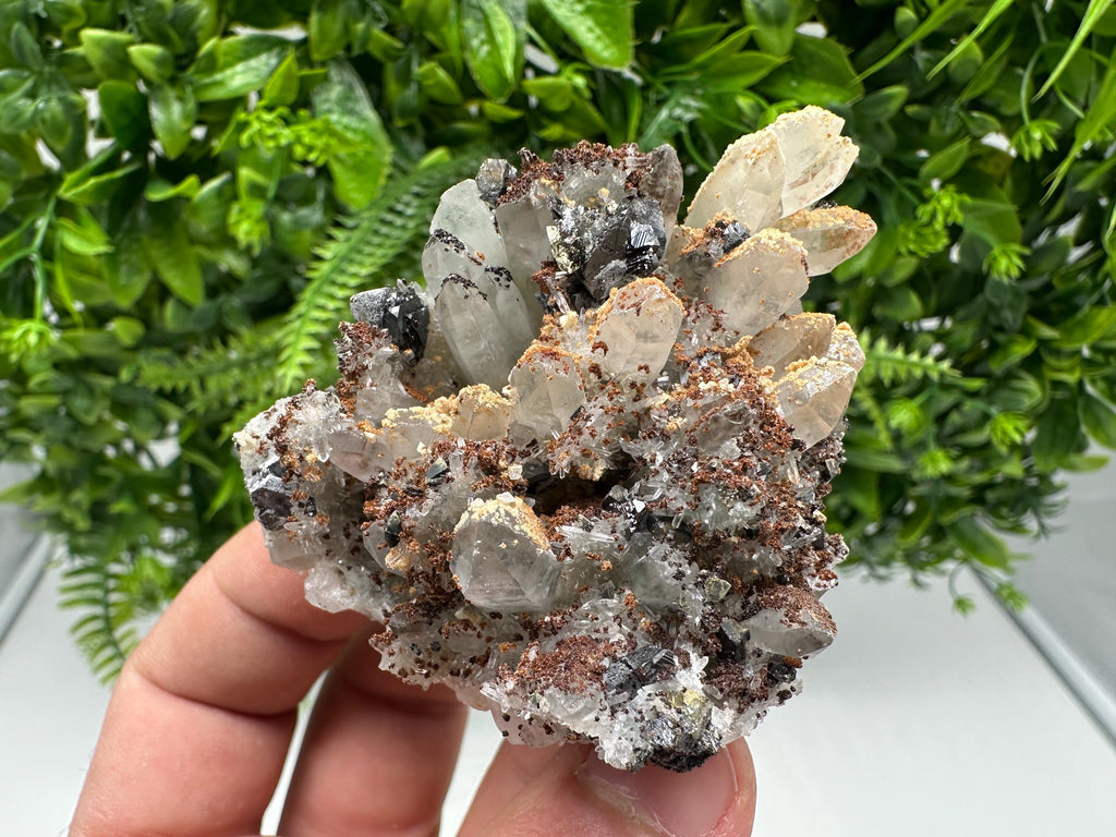 Wonderful Sphalerite Chalcopyrite on Green Quartz whit Hematite feom 9 th September mine,Bulgaria,natural,collection mineral specimen,gift