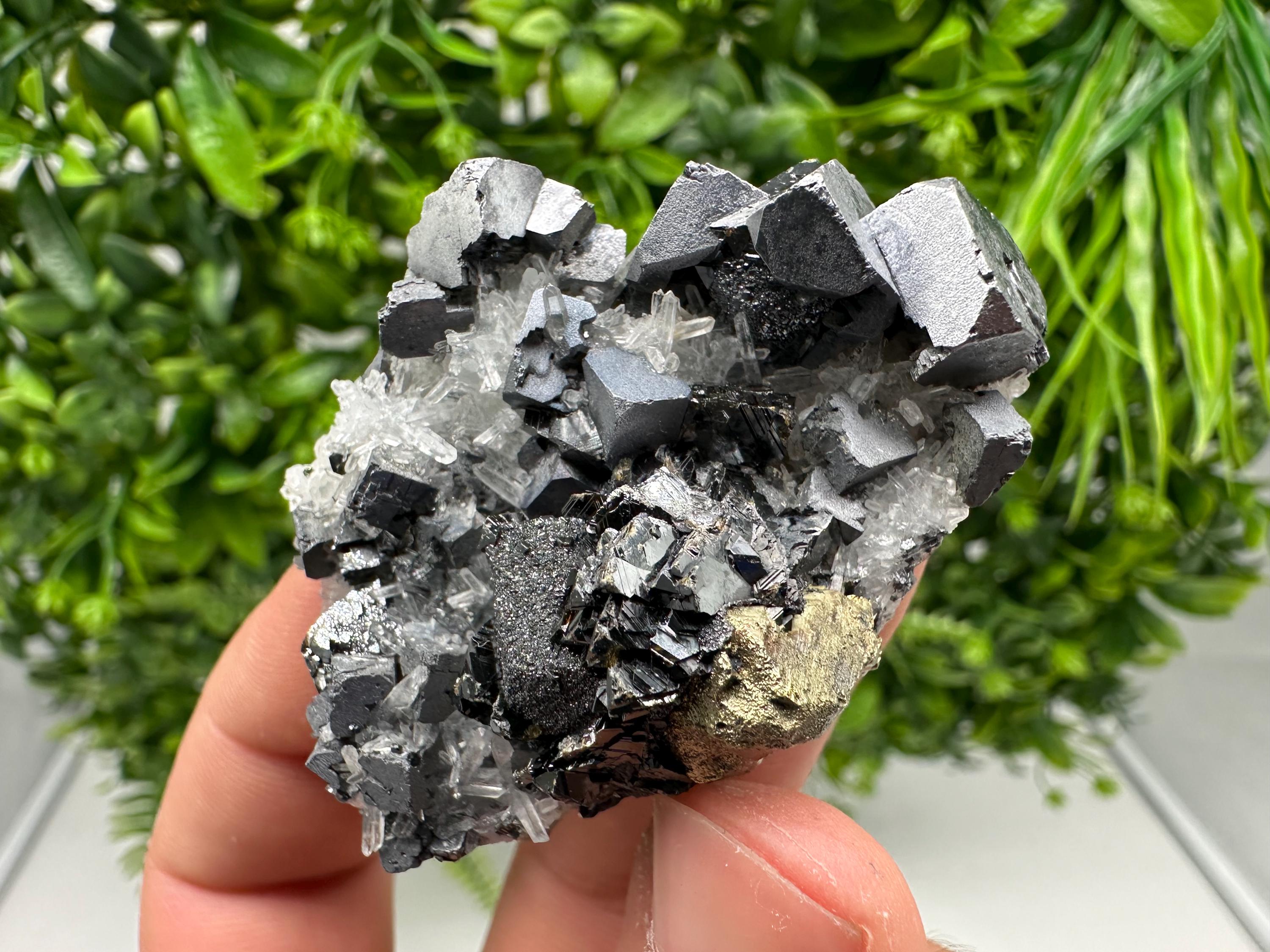 Aesthetic Natural shiny Galena whit Siderite and Quartz from 9 th September mine,Bulgaria,collection specimen,rare galena,Galena cluster