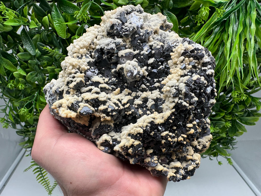 Galena Dolomite Cluster, Krushev dol Bulgaria Mineral Specimen