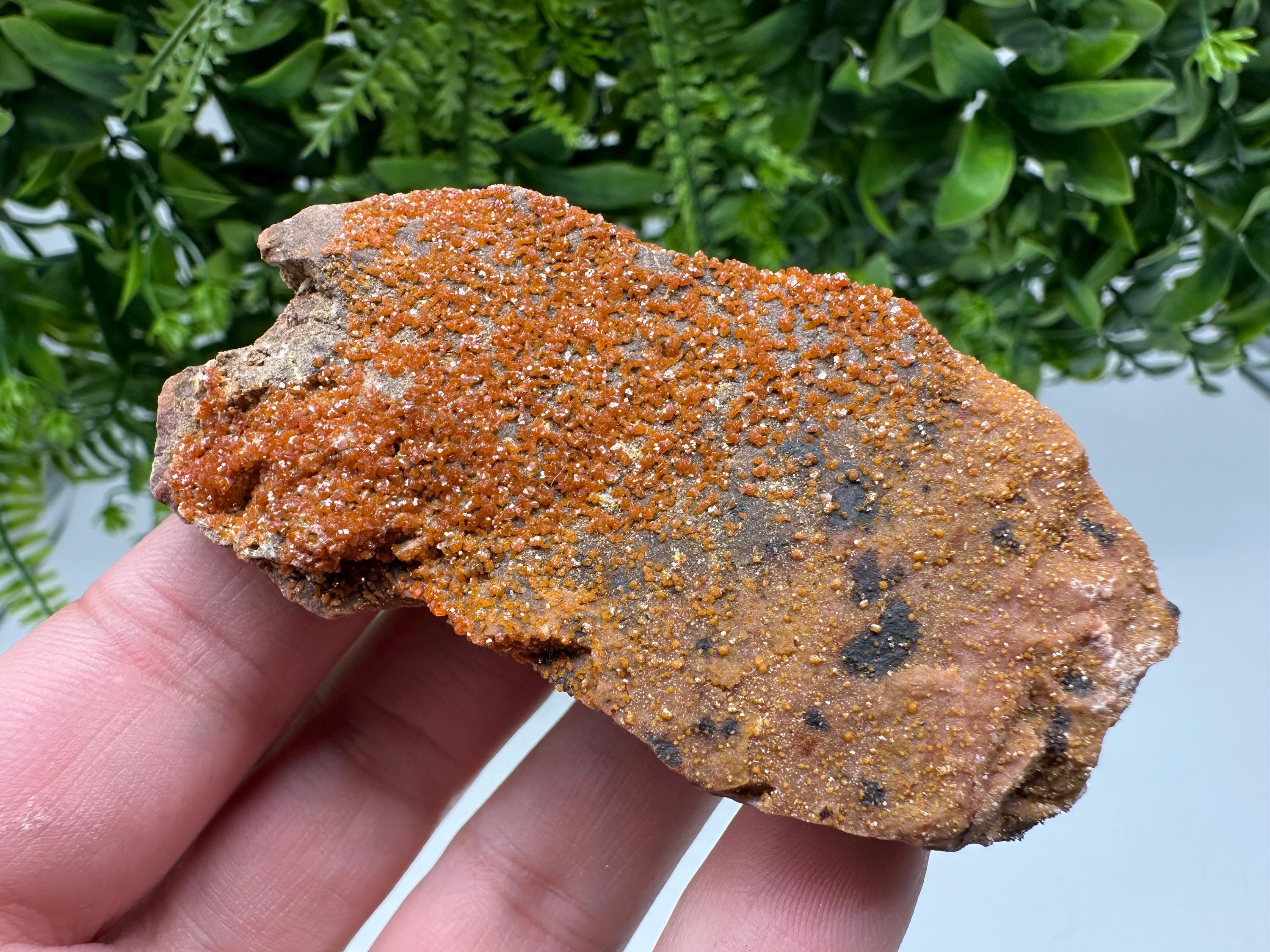 Red Vanadinite on Matrix from Marocco,crystal minerals Speciment cluster Vanadinite crystal Vanadinite Geology Vanadinite cluster minerals