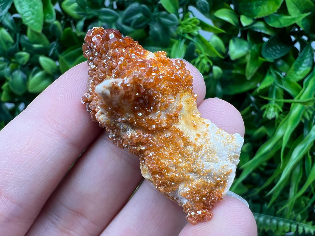 Red Vanadinite on Barite from Marocco,crystal minerals Speciment cluster Vanadinite crystal Vanadinite Geology Vanadinite cluster minerals