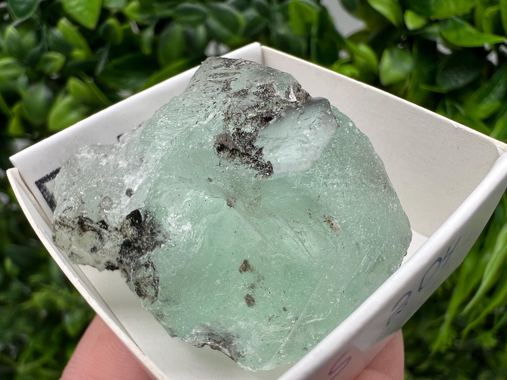 Rare Rainbow Fluorite from Mexico: Raw Crystal Cluster, Meditation Stone