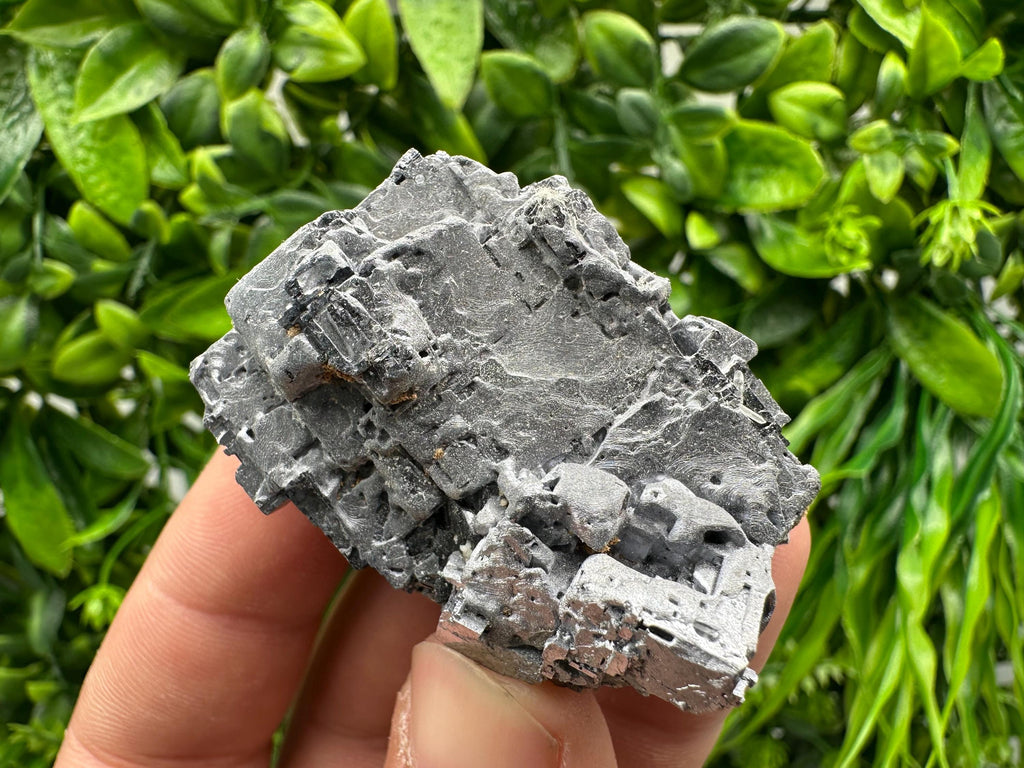 Skeletal Galena on Sphalerite, Bulgarian Crystal Mineral Specimen