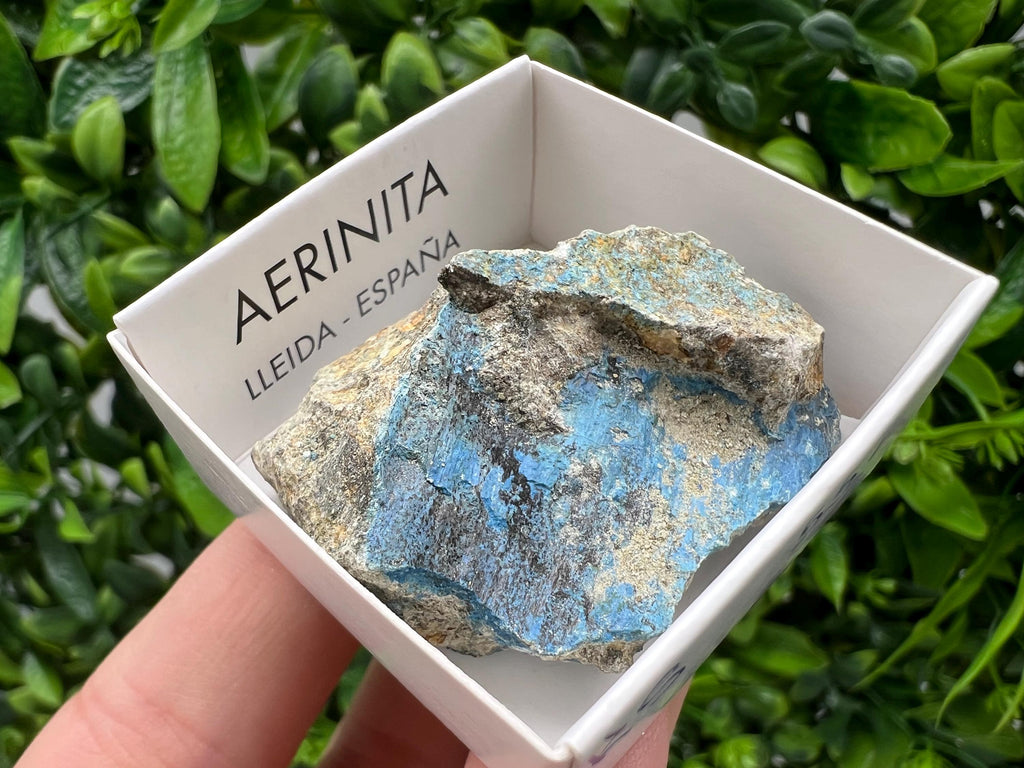 Rare Raw Aerinite Mineral Specimen: Collection Crystal from Lleida, Spain (4/3.5 CM)