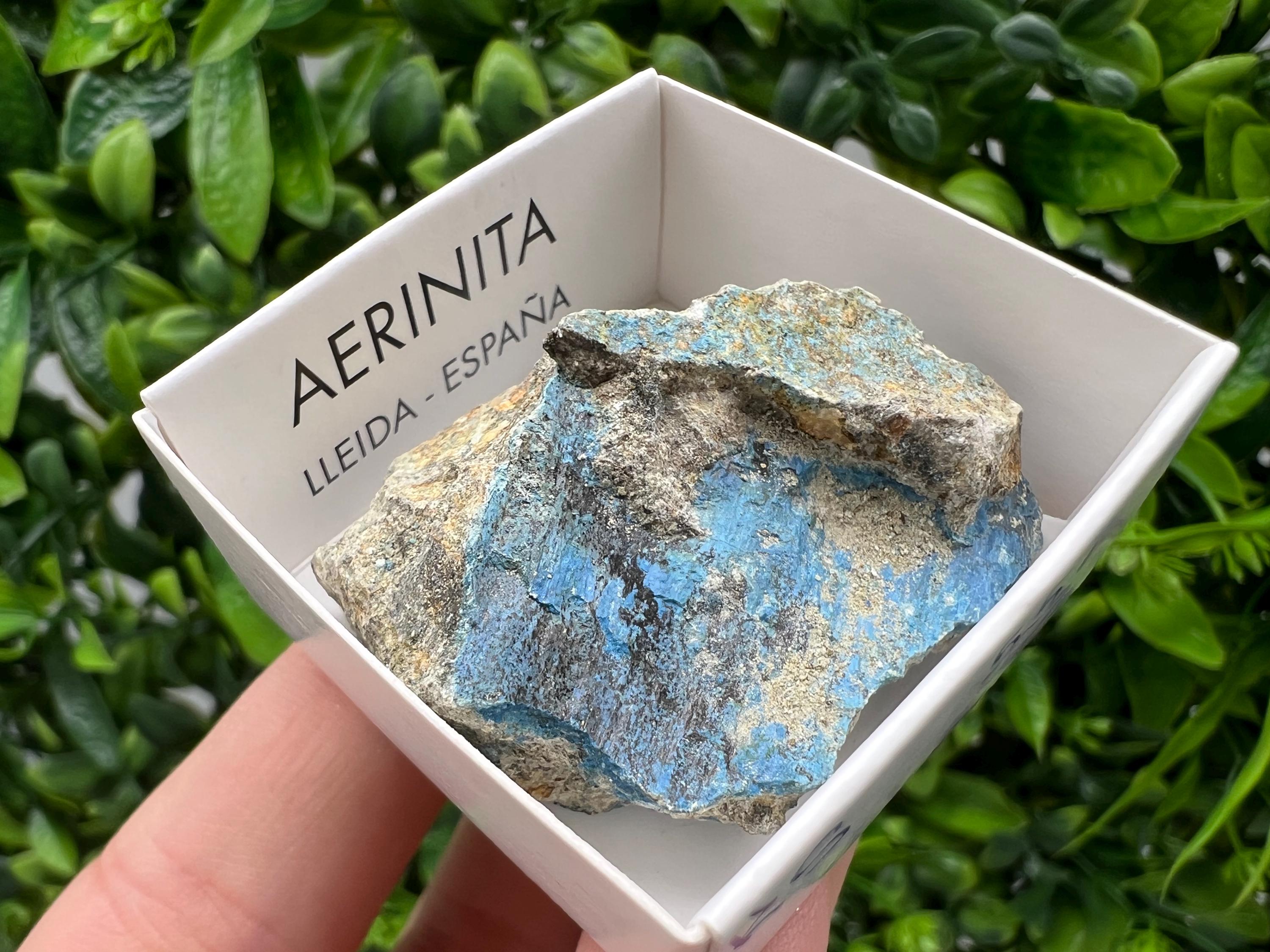 Rare Raw Aerinite Mineral Specimen: Collection Crystal from Lleida, Spain (4/3.5 CM)