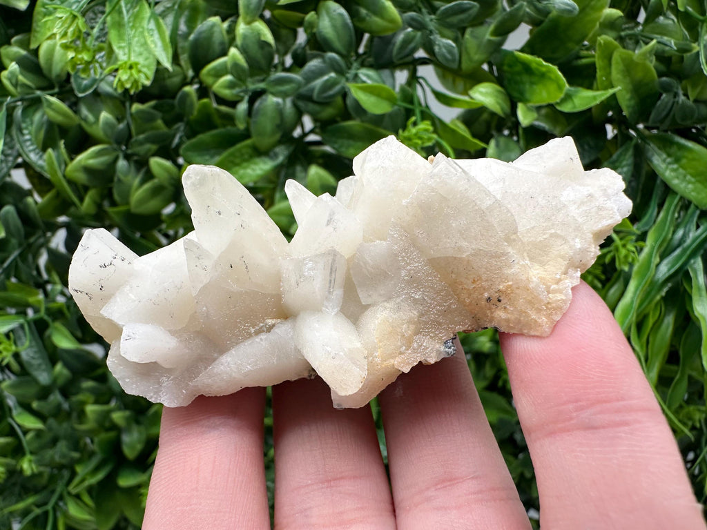 Calcite on Green Quartz: Laki Bulgaria Healing Crystal