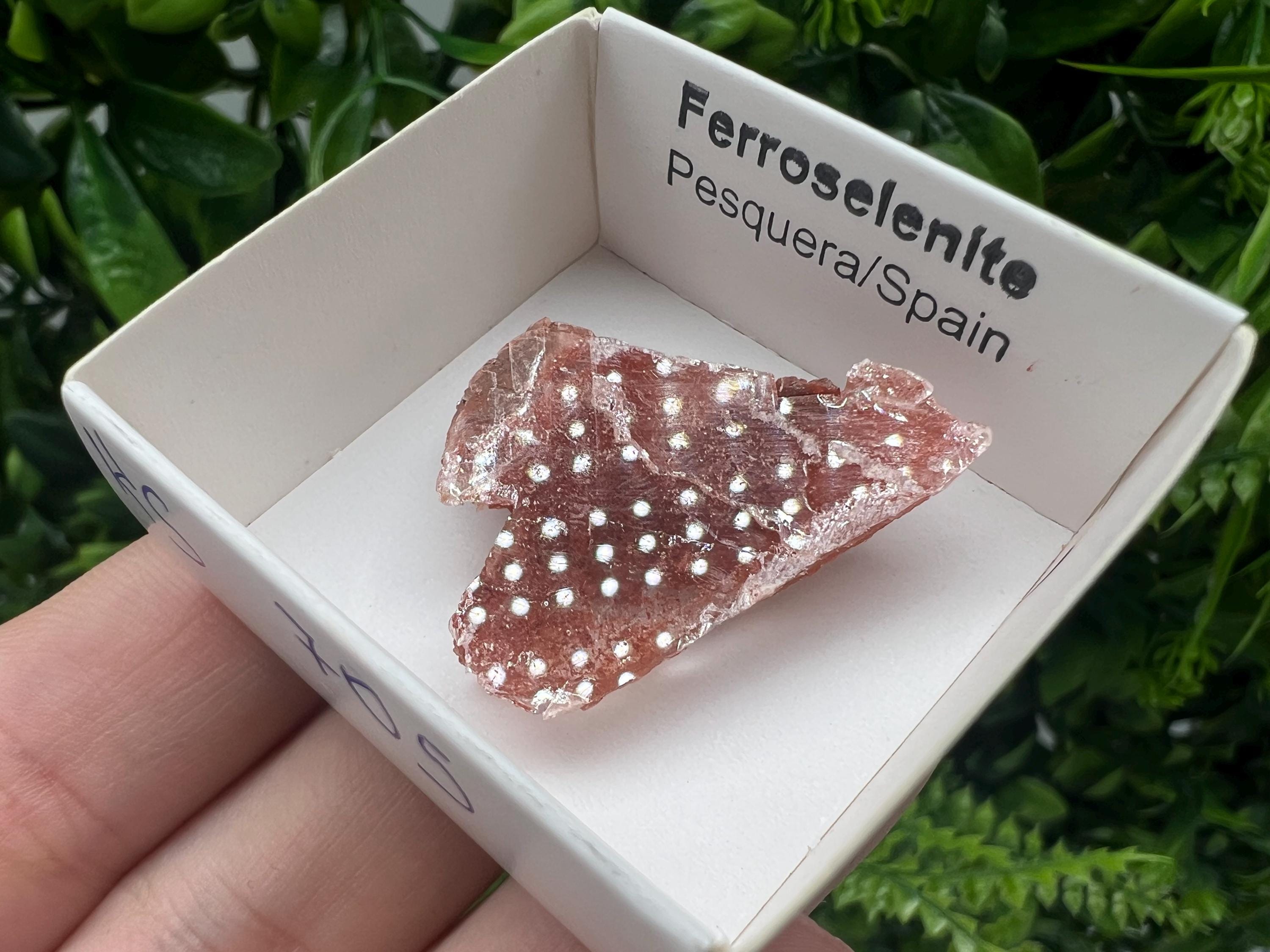 Rare Ferroselenite Crystal Specimen: La Pesquera, Spain (3/3 cm