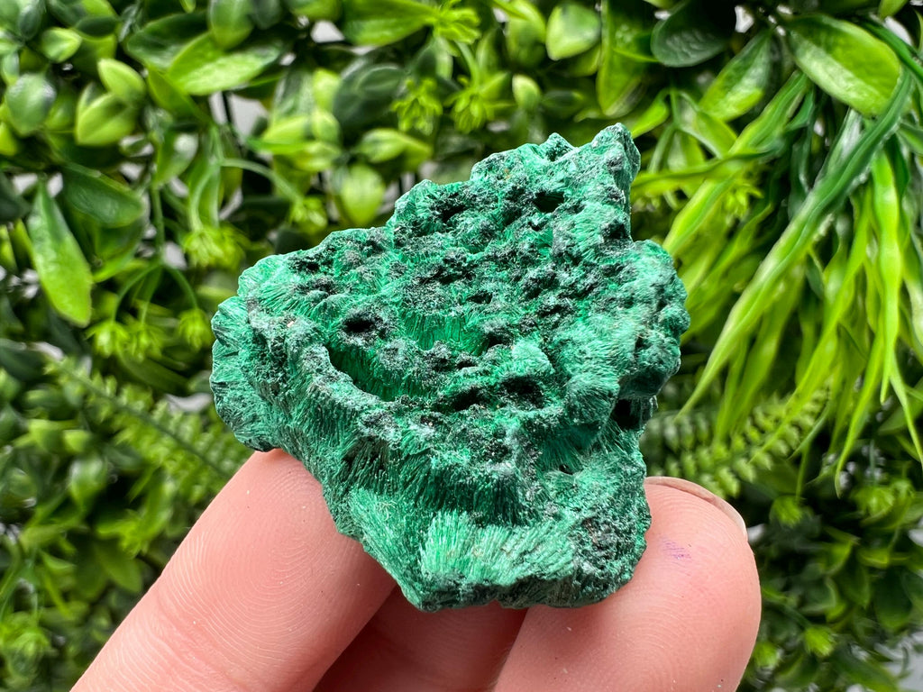 Malachite Crystal from Congo,Minerals,Crystals from Congo,Green Malachite, Malachite,Natural Malachite,Malachite Stone,Chakra, Specimens