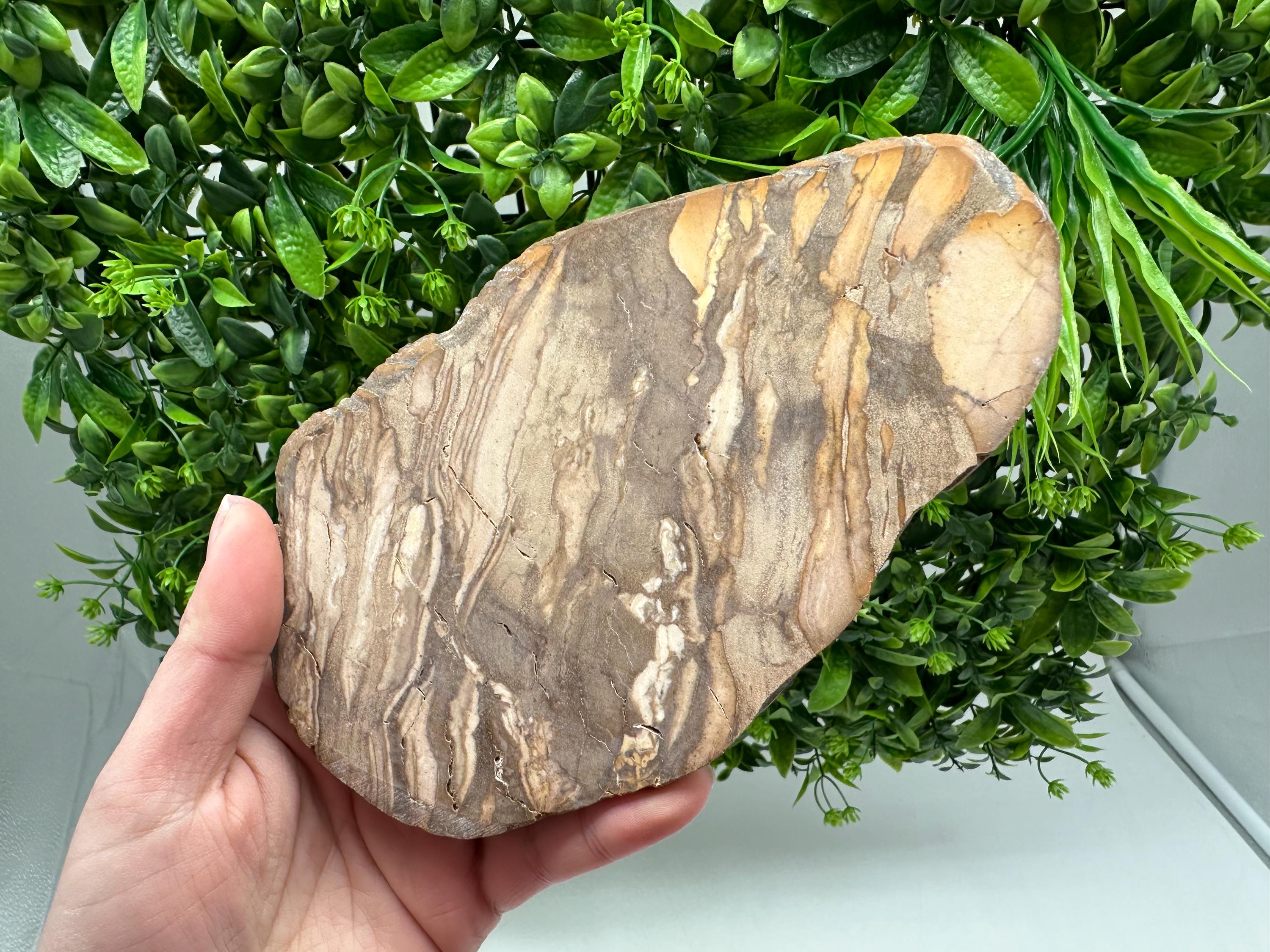 Polished Landscape Jasper Slab – Natural Scenic Stone Slice, Grounding Decor (18/11 CM)