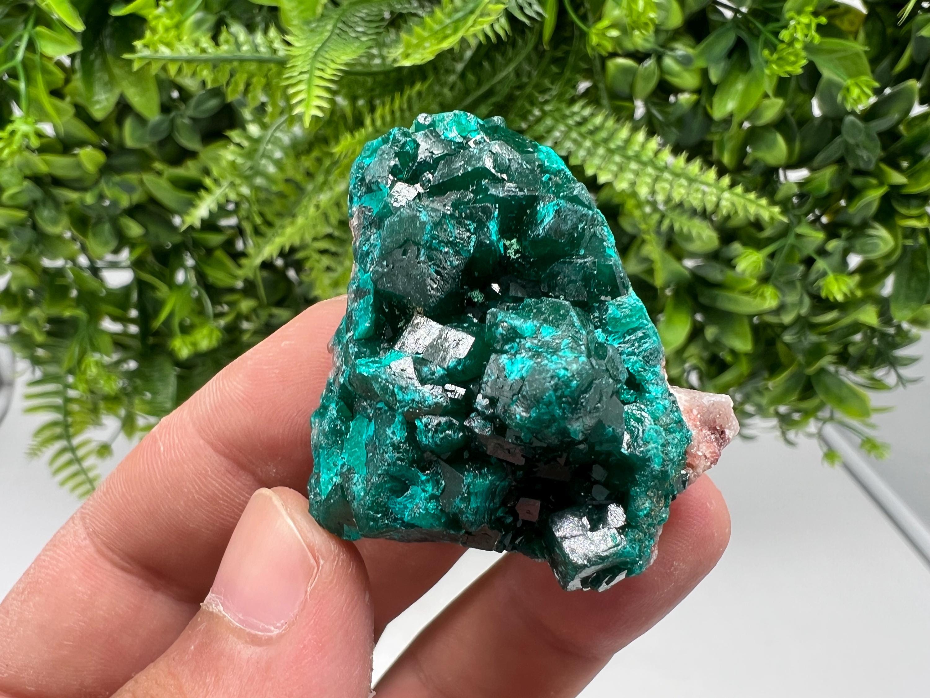 Stunning Green Dioptase from Sanda Hills,Mindouli,Pool Department,Mindouli District,Congo,green Dioptase,Dioptas Crystal,Dioptase collecting