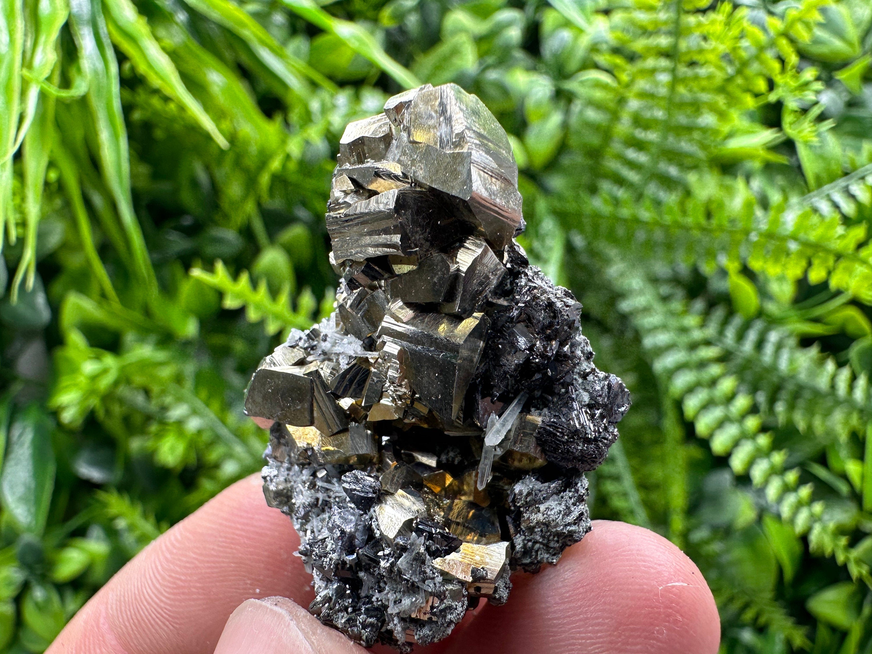 Pyrite Galena Sphalerite Quartz Mineral Specimen, Borieva Mine Bulgaria