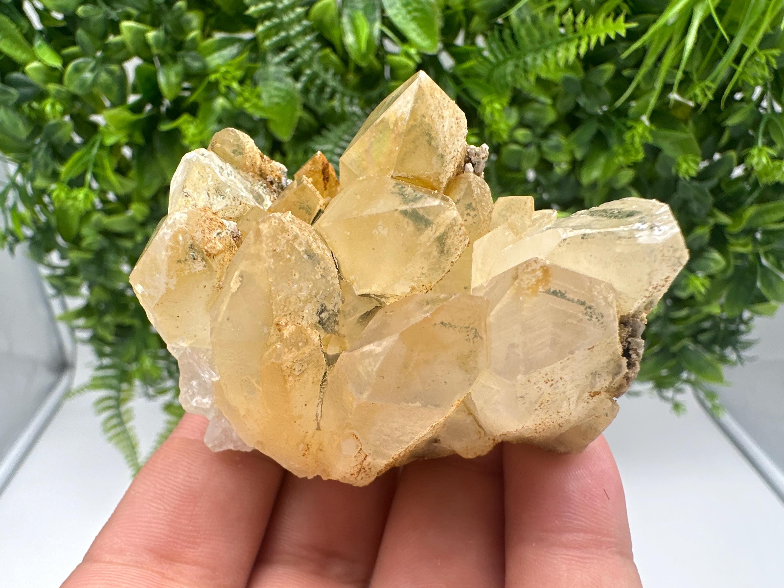 Rainbow Quartz whit Chlorite,Iron oxide inclusion from Djurcovo mine,Madan,Bulgaria,natural,collection mineral specimen,yellow Quartz,clust