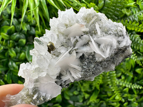 Calcite on Quartz Crystal: Borieva Mine, Bulgaria (7/4.5/2cm)