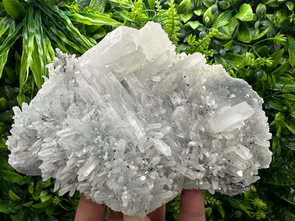 Transparent Quartz Crystal, Borieva Mine Bulgaria, Mineral Specimen