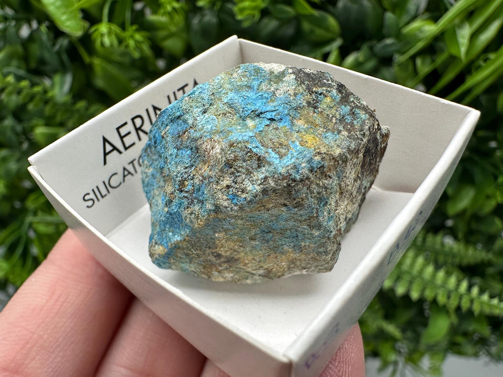 Rare Raw Aerinite Mineral Specimen: Lleida, Spain Crystal