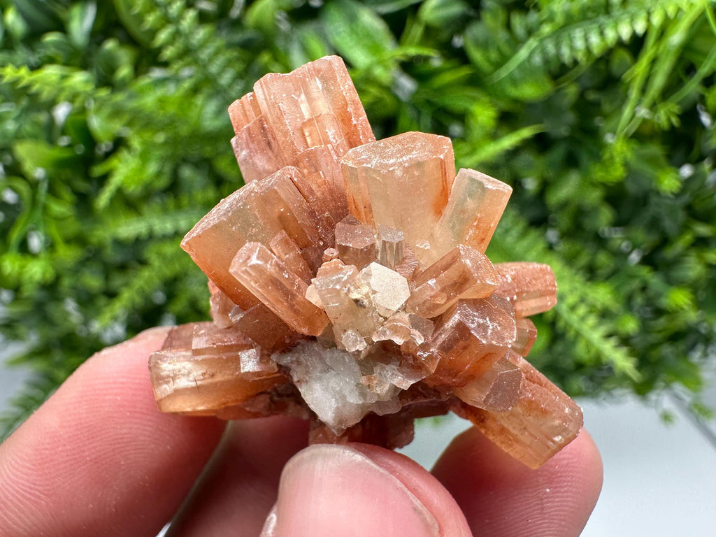 Moroccan Aragonite Sputnik Cluster: Raw Crystal Stone Decor