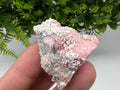RARE Rhodochrosite with White Calcite, Starnica Mine, Bulgaria