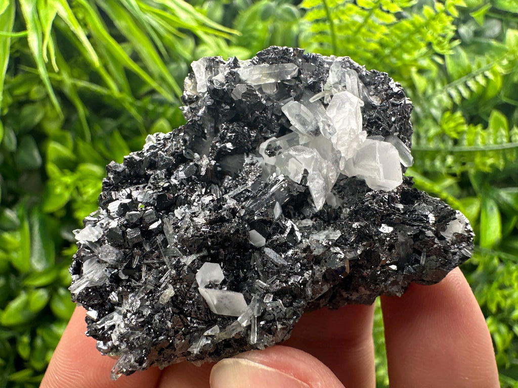 Black Sphalerite Cluster: Natural Mineral Souvenir, Borieva Bulgaria