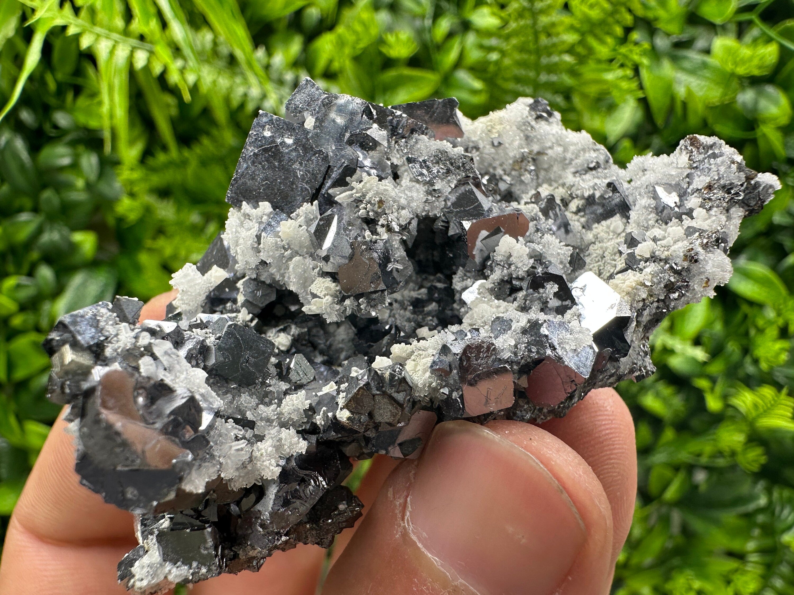 Shiny Skeletal Galena on Quartz with Calcite - Madan Bulgaria Crystal