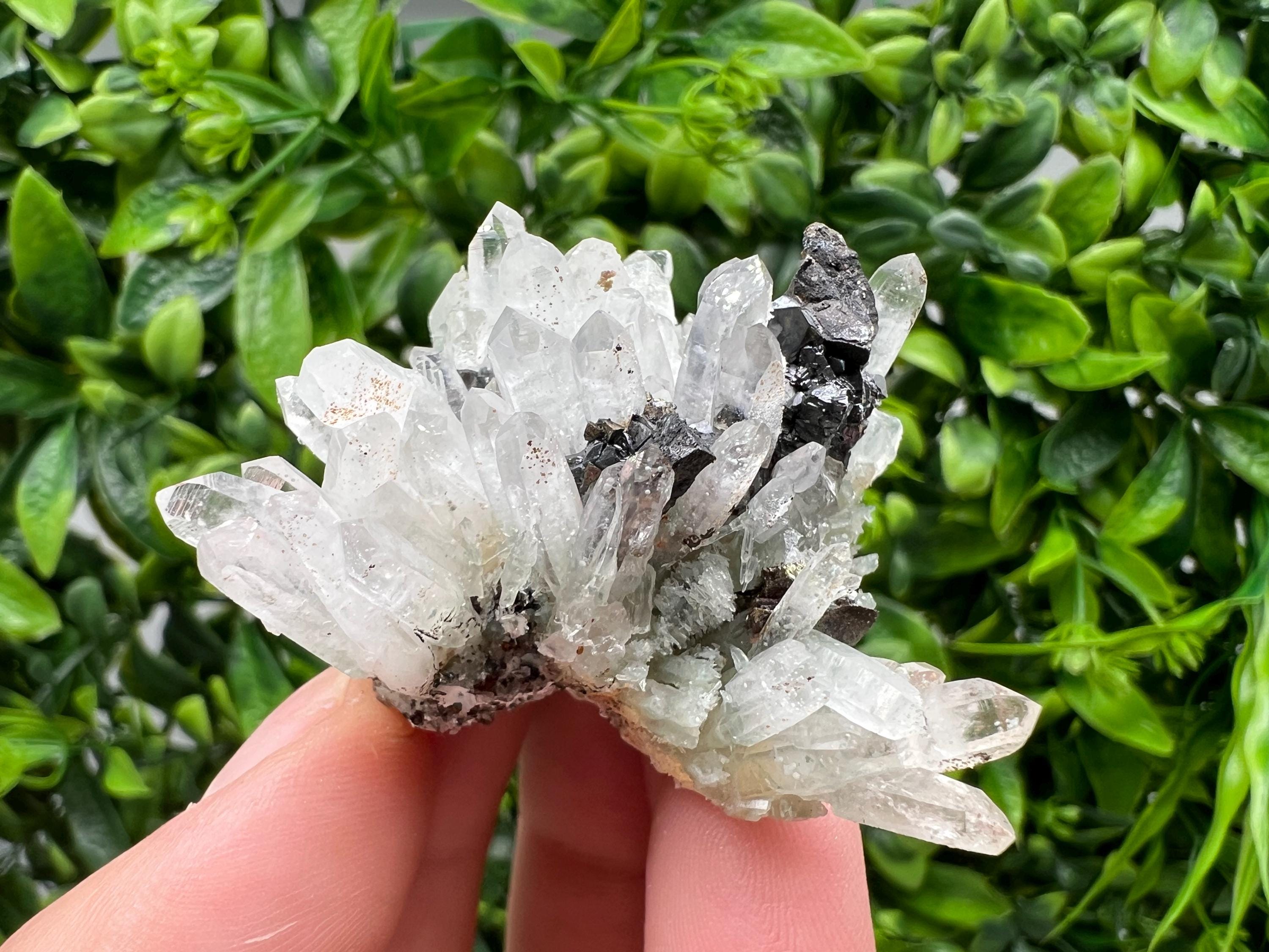 Transparent Quartz,Chlorite,Chalcopyrite Matrix,From Borieva mine,Madan,Bulgaria,Quartz,Quartz crystal,mineral specimen,collection quartz