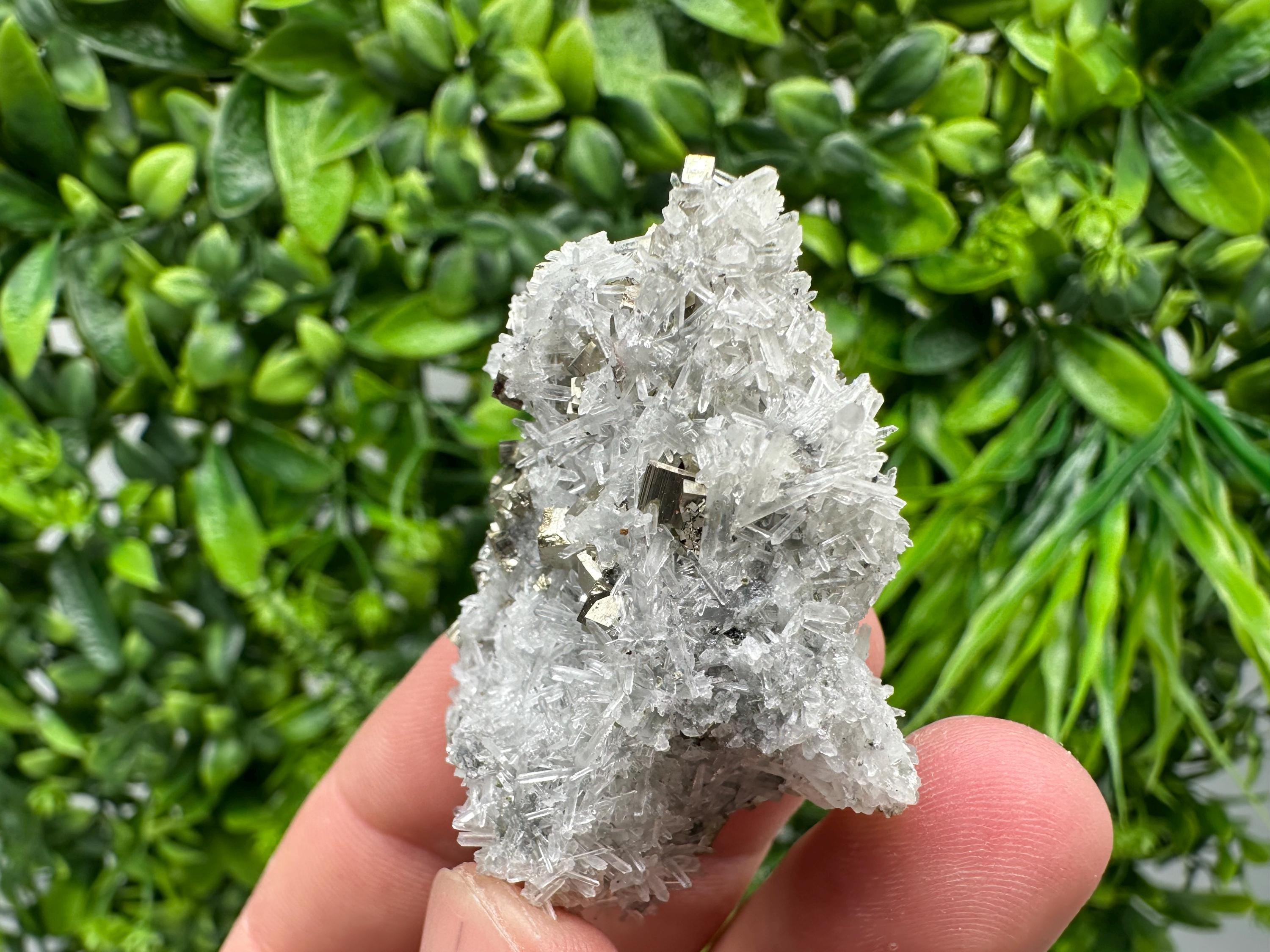 Pyrite on Green Quartz Mineral Specimen, Borieva Mine Bulgaria