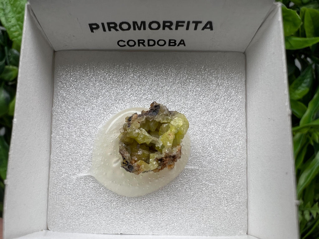 Pyromorphite Stone / Pyromorphite on Matrix / Pyromorphite Crystal / Raw Crystal / Pyromorphite Cluster / Rough Pyromorphite / Pyromorphite