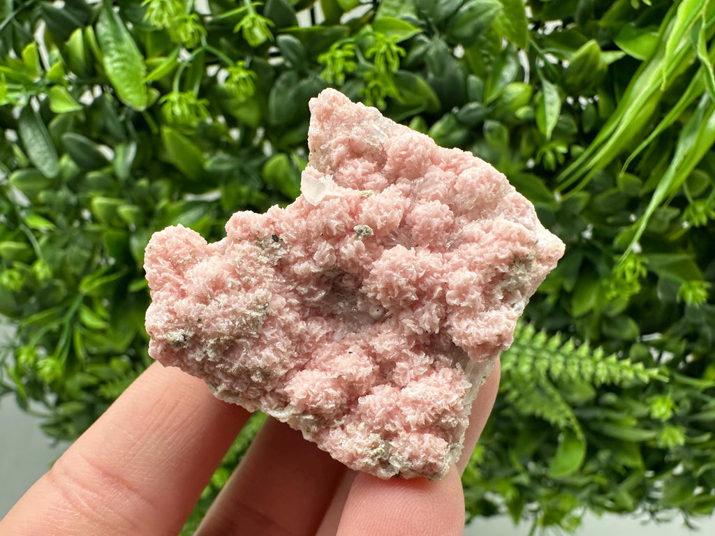 Pink Rhodochrosite Crystal: Starnica Mine, Bulgaria, Home Decor