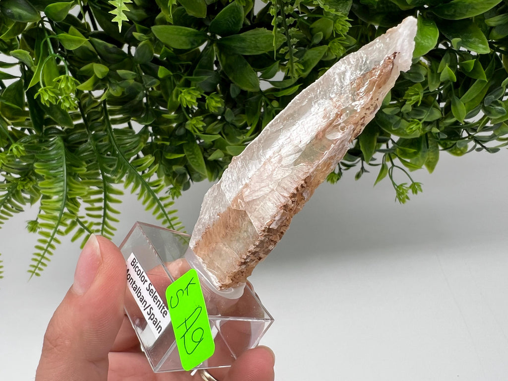 Golden Phantom Selenite Slab, Utah Raw Fishtail Selenite