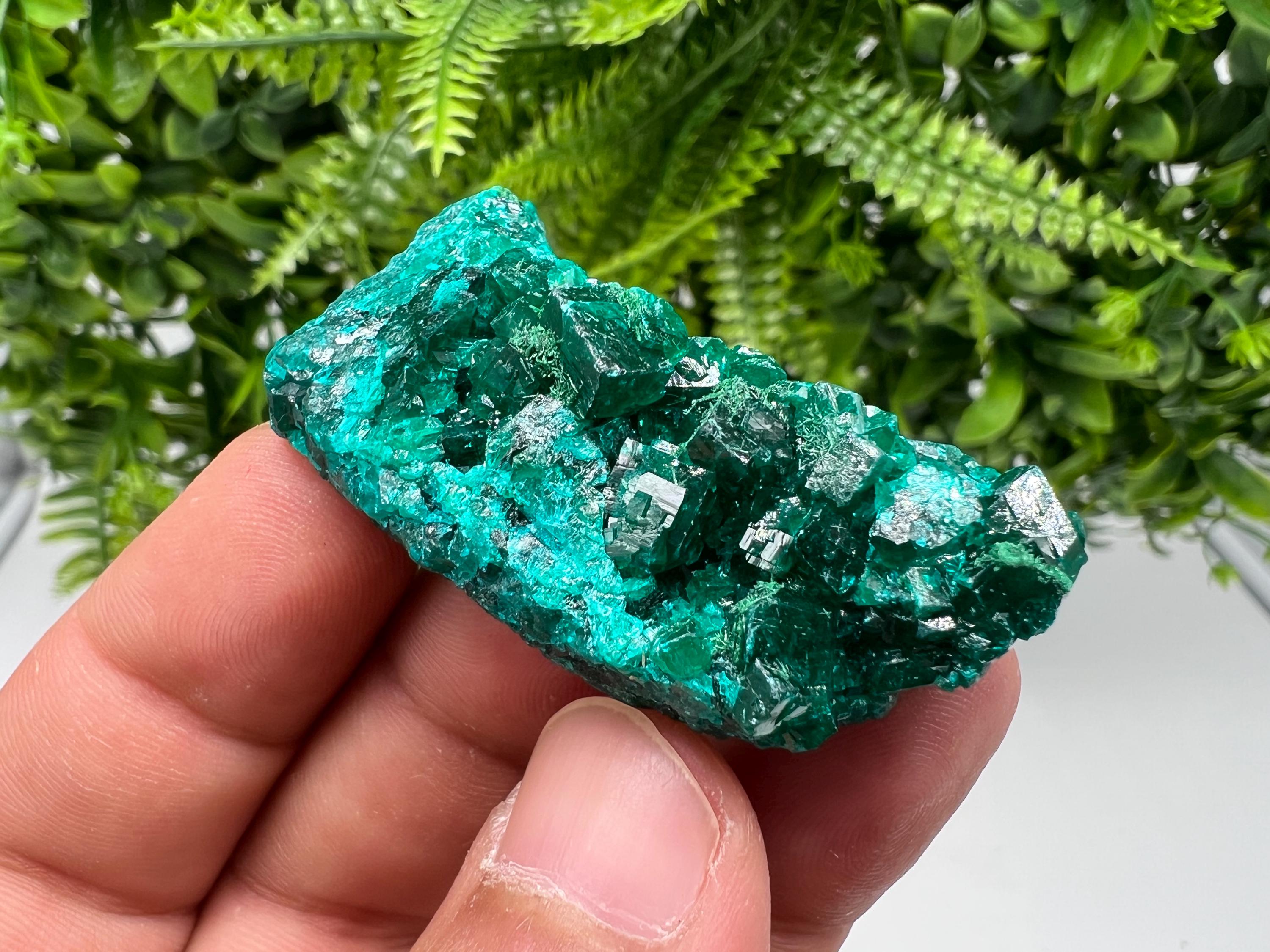 Stunning Green Dioptase from Sanda Hills,Mindouli,Pool Department,Mindouli District,Congo,green Dioptase,Dioptas Crystal,Dioptase collecting
