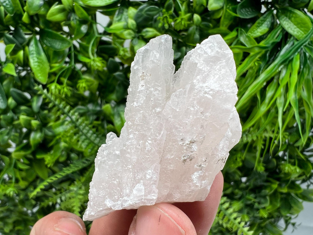 Mangano Calcite with Galena, Borieva Mine Crystal, Bulgaria