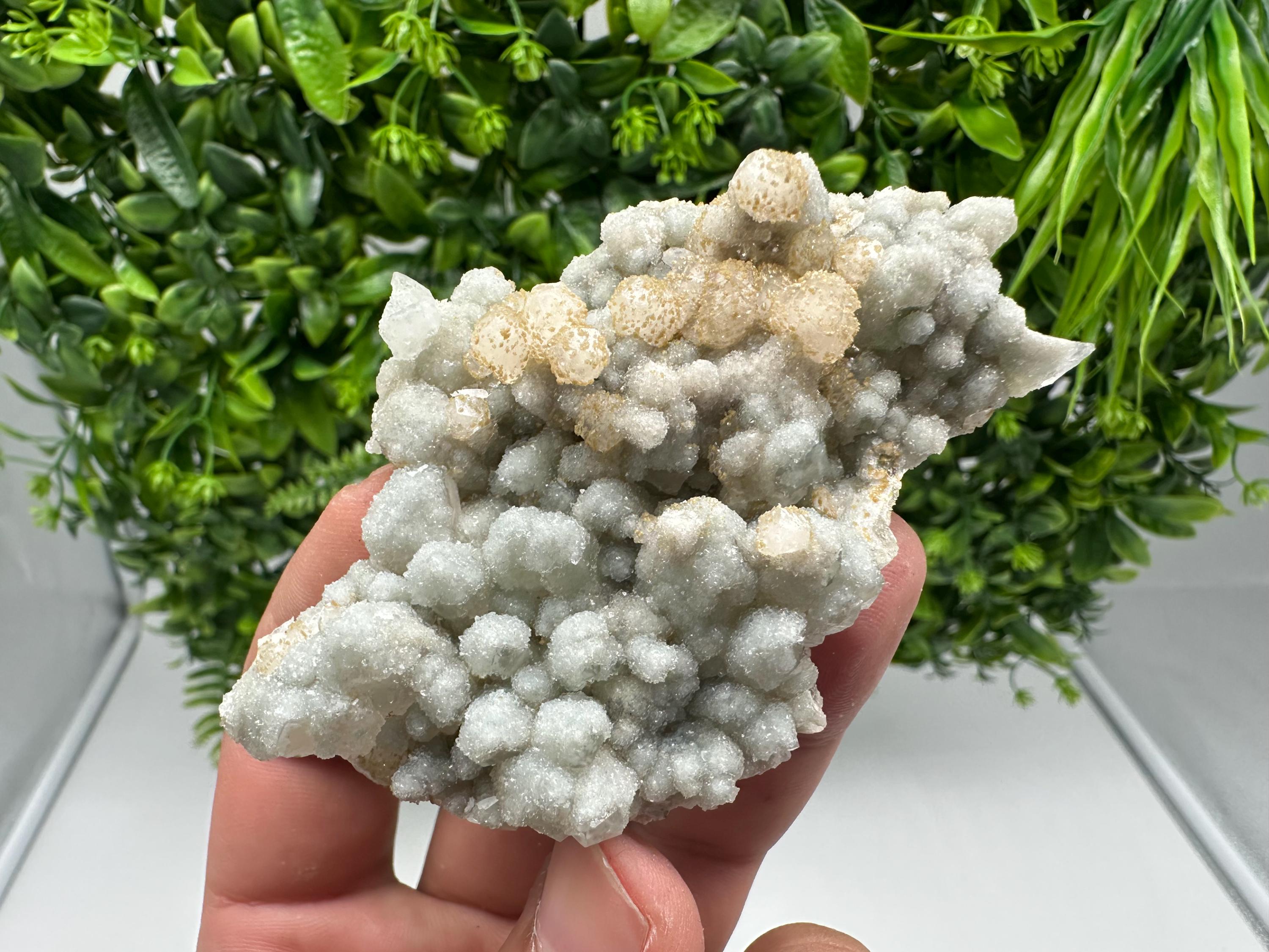 Quartz whit Brown Rhodochrosite from Djurcovo mine,Bulgaria,Quartz,Rhodochrosite cluster,natural mineral,collection crystal,mineral specimen