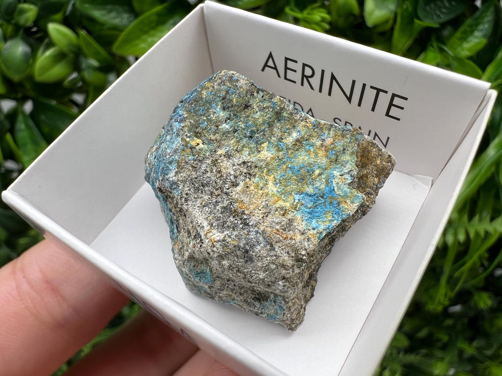 Rare Raw Aerinite Mineral Specimen: Lleida Spain Crystal
